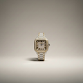Reloj Moissanite
